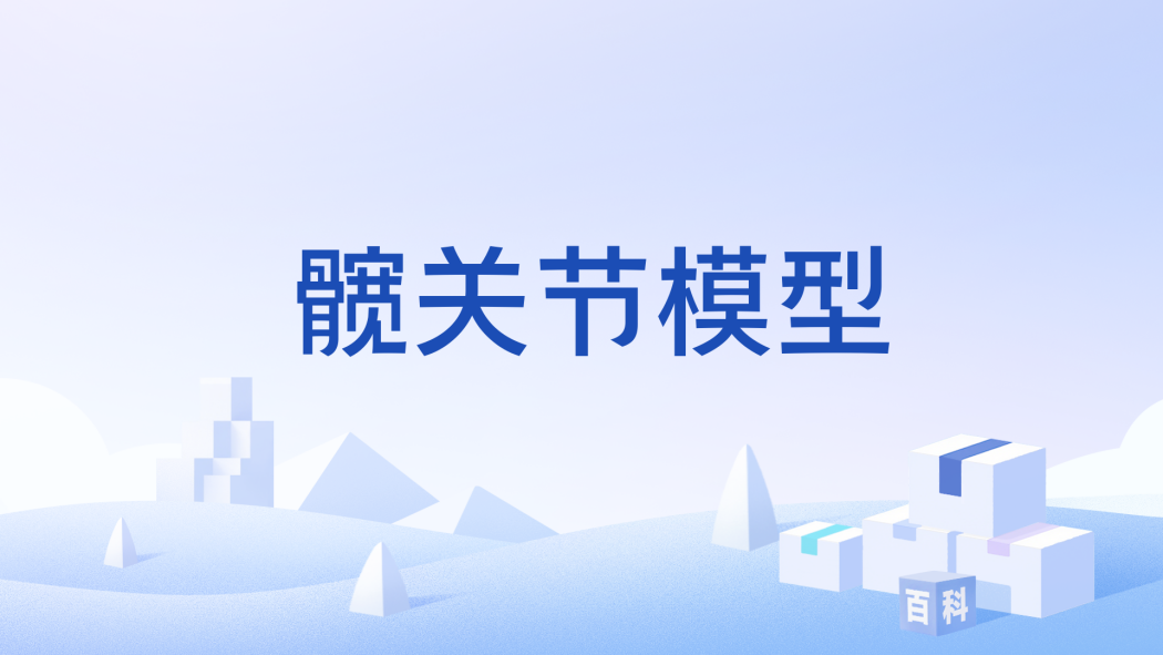 髖關節模型 髖關節模型