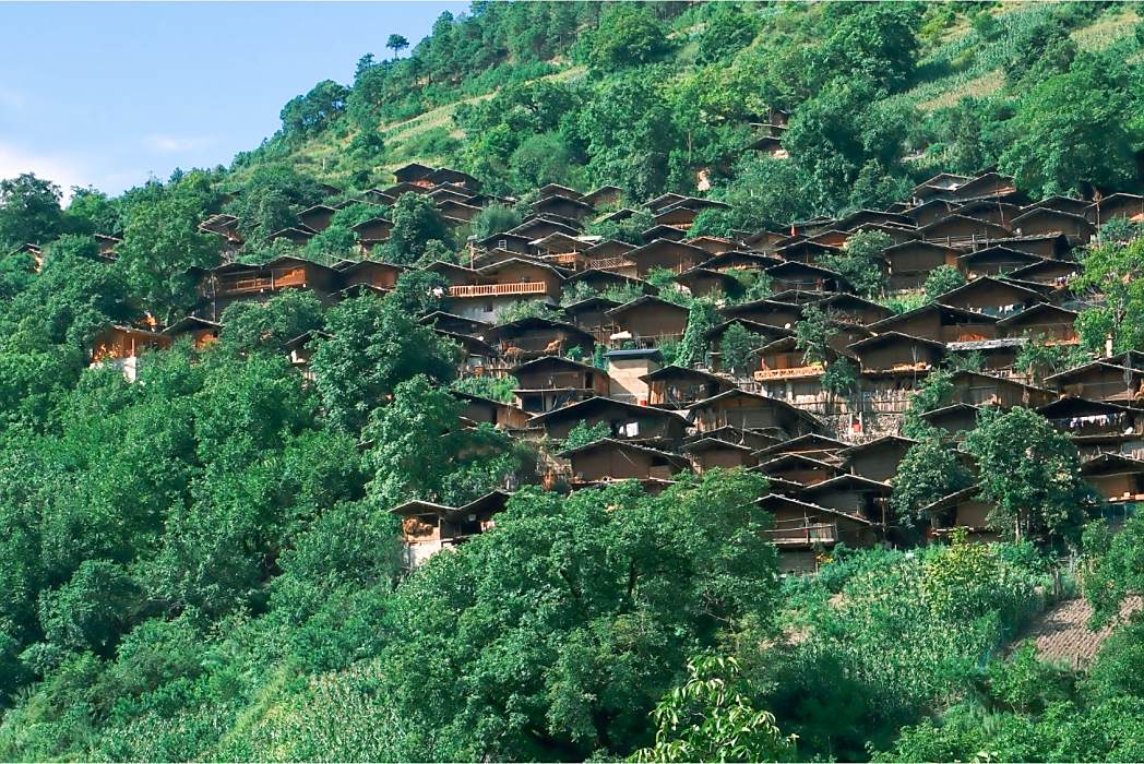 同樂古村 同樂古村