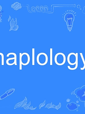 haplology haplology