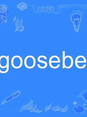 gooseberry gooseberry
