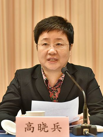 高曉兵(民政部副部長) 高曉兵(民政部副部長)