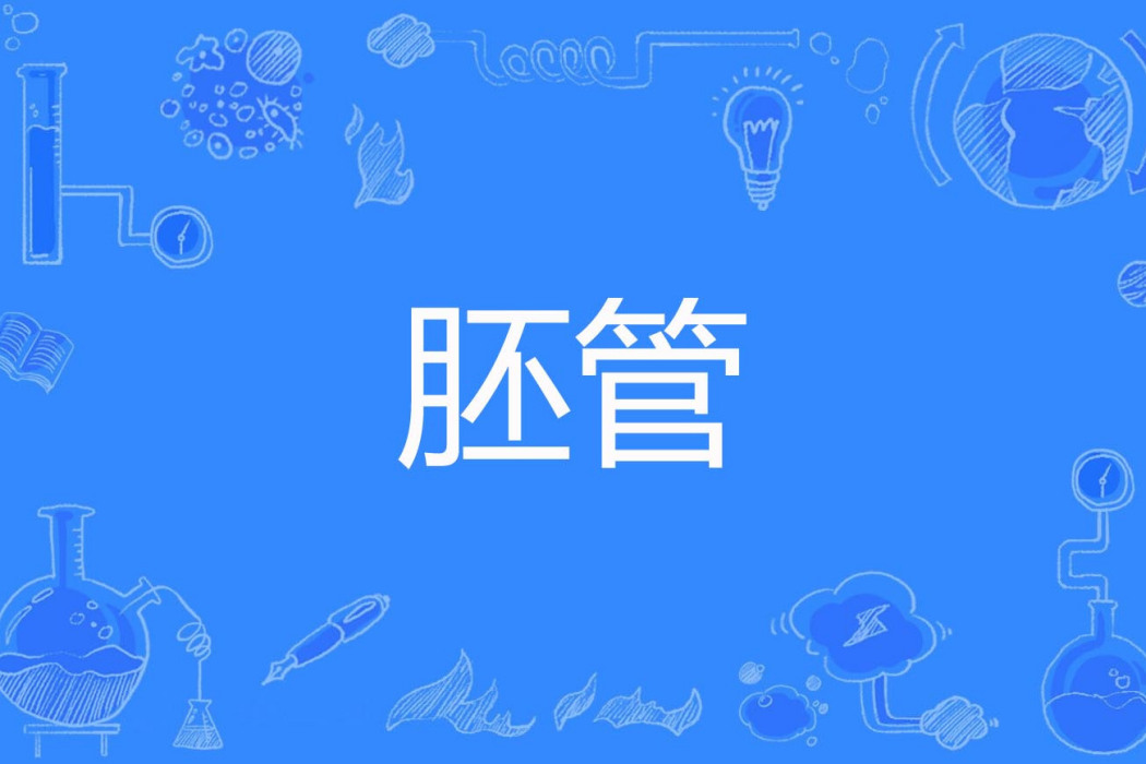 胚管 胚管