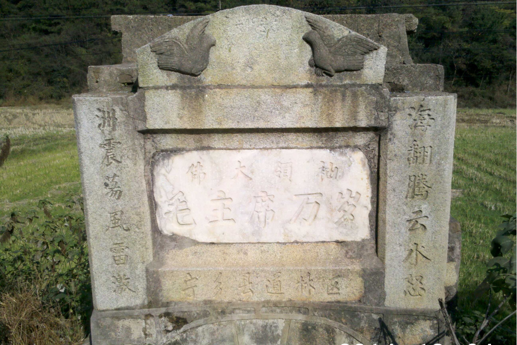道林區 道林區