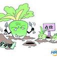 蘿蔔崗位 蘿蔔崗位