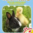 3-D Baby Animals 3-D Baby Animals