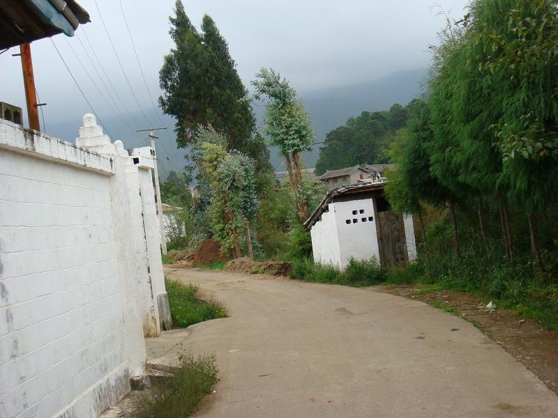 木光三村 木光三村