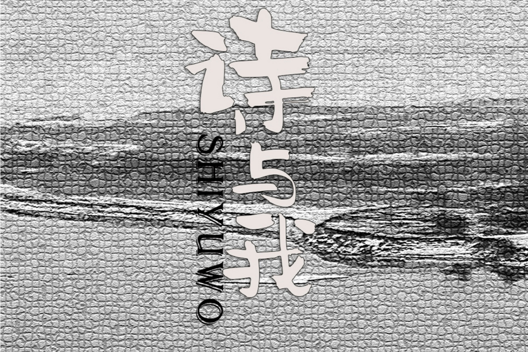 詩與我 詩與我