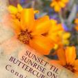 Sunset Til Sunrise on Buttercup Lane Sunset Til Sunrise on Buttercup Lane