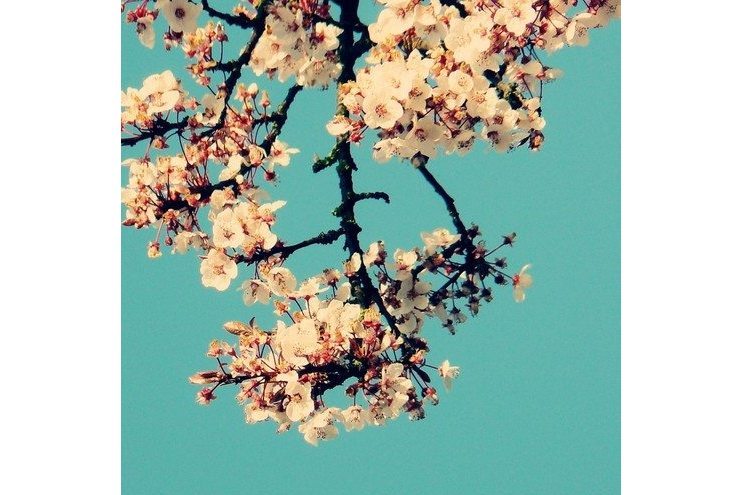 Breathe In Breathe In