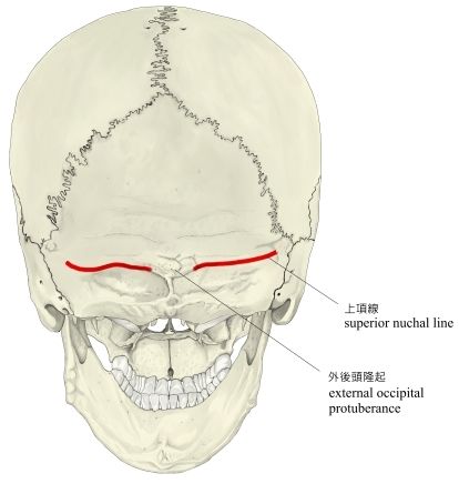 上項線 上項線