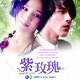 紫玫瑰(紙玫瑰（2009年黃騰浩主演電視劇）)