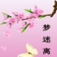 夢迷離 夢迷離