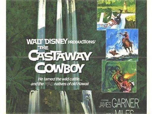 The Castaway Cowboy The Castaway Cowboy