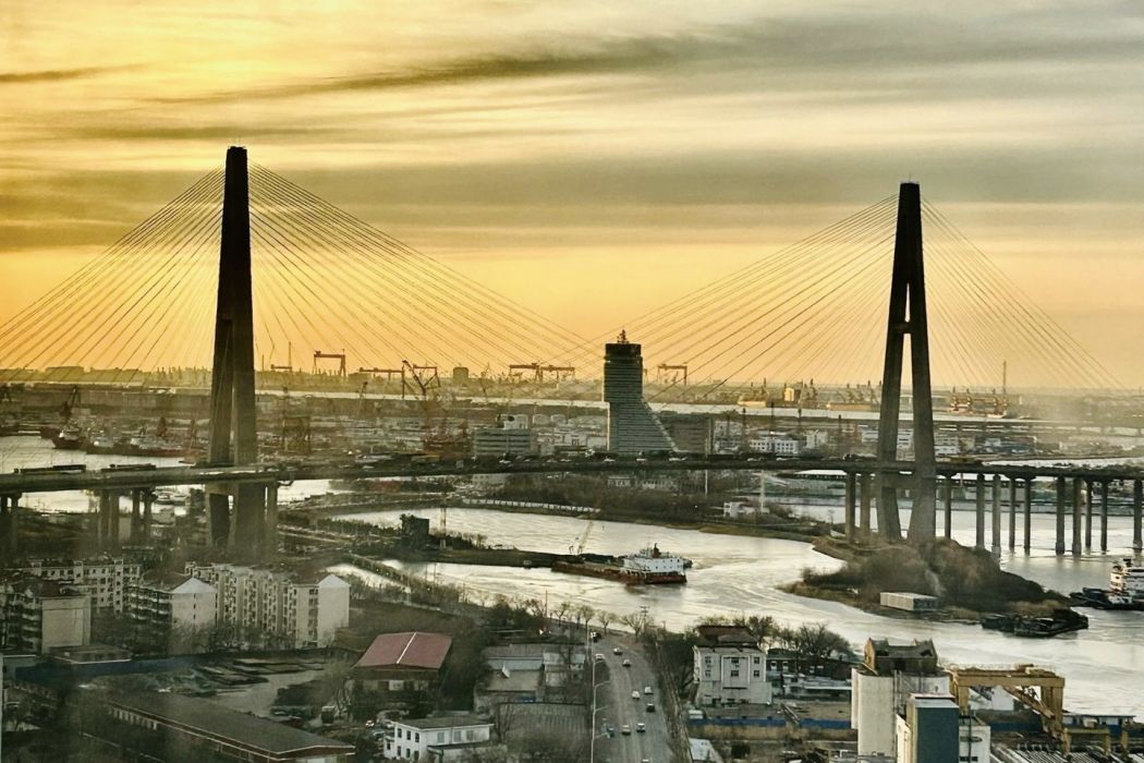 海河大橋(天津市濱海新區的跨河橋樑) 海河大橋(天津市濱海新區的跨河橋樑)