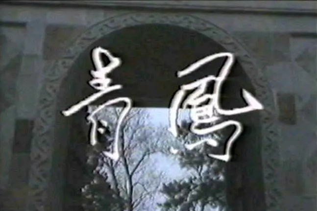 青鳳(1986年的2集迷你劇) 青鳳(1986年的2集迷你劇)