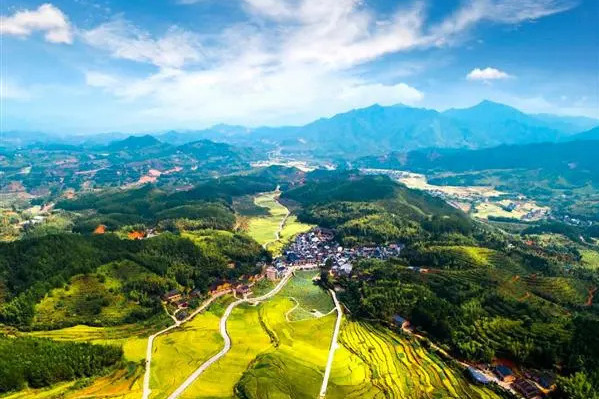 仙仁村 仙仁村