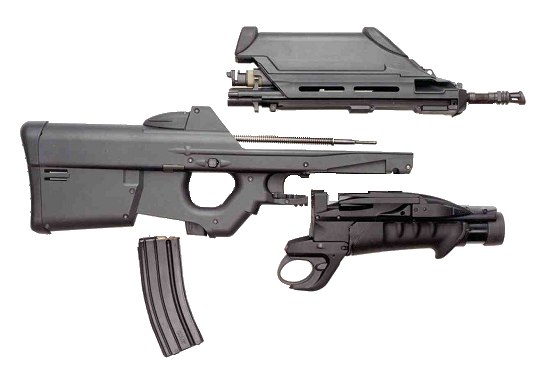 美國F2000模組化突擊武器