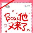 boss他又來了 boss他又來了
