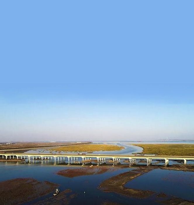 洋河(山東省膠州灣膠州市入海河流) 洋河(山東省膠州灣膠州市入海河流)