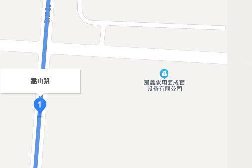 嵩山路(江蘇省灌雲縣嵩山路) 嵩山路(江蘇省灌雲縣嵩山路)