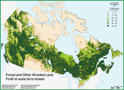 加拿大森林資源分布