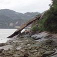 金剛腿(福建閩江南岸旅遊景點) 金剛腿(福建閩江南岸旅遊景點)