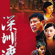 深圳灣(2008年師小紅主演電視劇) 深圳灣(2008年師小紅主演電視劇)