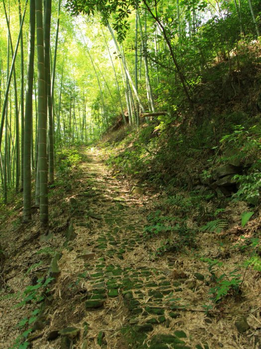梅山嶺古道 梅山嶺古道
