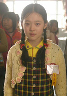 傻瓜(韓國2008年車太賢、河智苑主演電影)