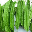 湘棱豆3號 湘棱豆3號