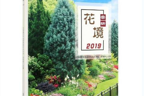 花境賞析2019 花境賞析2019