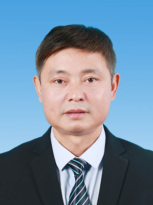 董林(安徽省合肥市廬江縣衛生健康委員會主任) 董林(安徽省合肥市廬江縣衛生健康委員會主任)