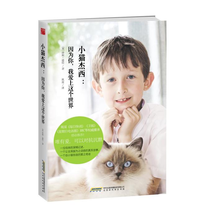 小貓傑西 小貓傑西