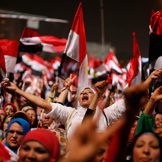 2013年埃及民眾抗議活動