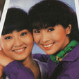 飛躍巔峰(1990年新加坡電視劇)