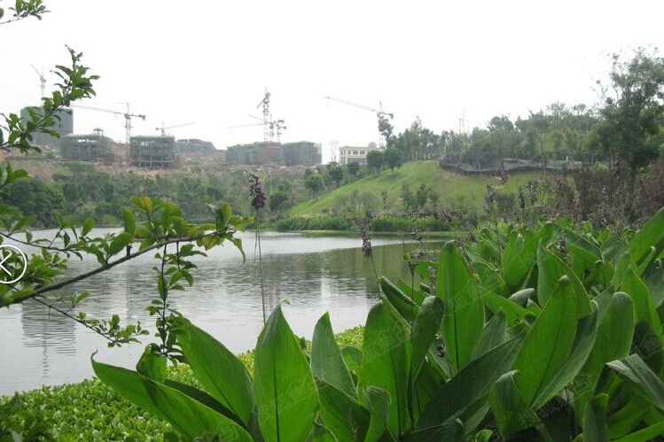 翠雲公園 翠雲公園
