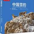 中國雪豹