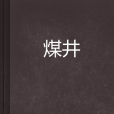 煤井 煤井