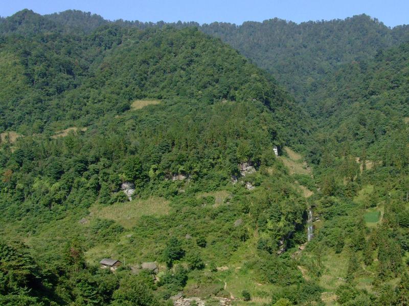 羅坪村(雲南綏江縣板栗鄉下轄村) 羅坪村(雲南綏江縣板栗鄉下轄村)