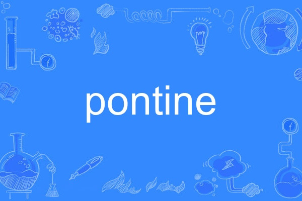 pontine pontine