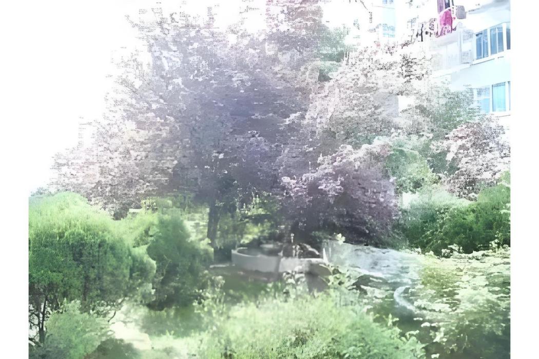 先奇園 先奇園