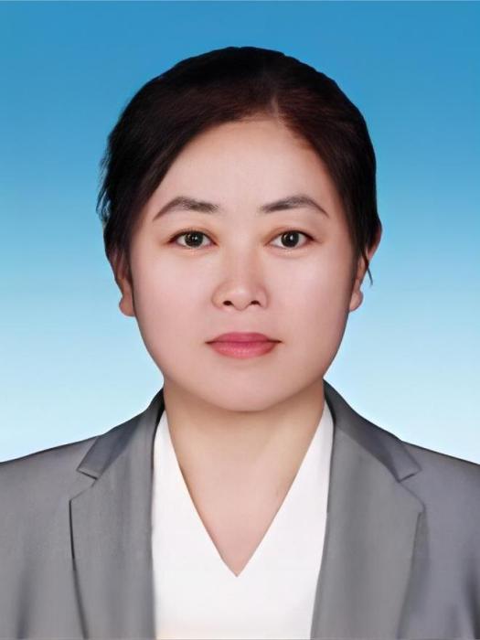 韓冰(遼寧省發展和改革委員會黨組成員、副主任) 韓冰(遼寧省發展和改革委員會黨組成員、副主任)