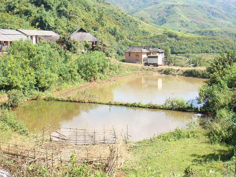 邦哈上寨村 邦哈上寨村
