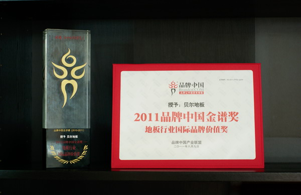 2011國際品牌價值獎