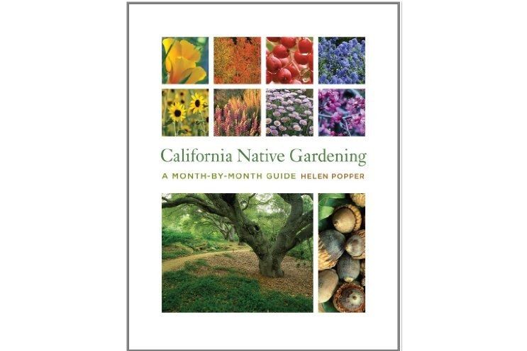 California Native Gardening California Native Gardening