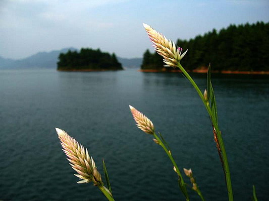 九江柘林湖