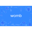 womb womb
