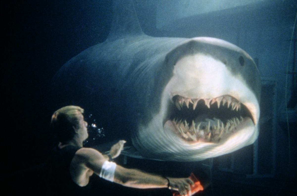 深海狂鯊(1999年出品美國電影)