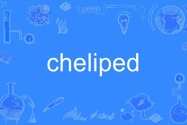 cheliped cheliped