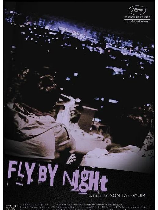 夜間飛行(2011年的短片電影) 夜間飛行(2011年的短片電影)